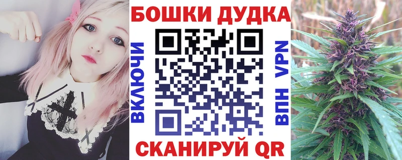 Конопля марихуана  Питкяранта 